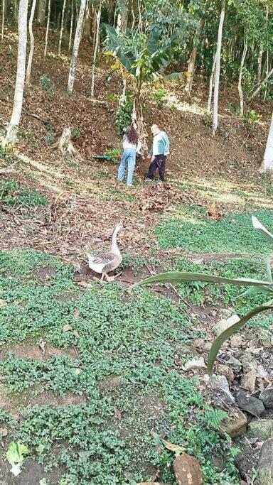 Chale Da Montanha Petropolis Villa Luaran gambar